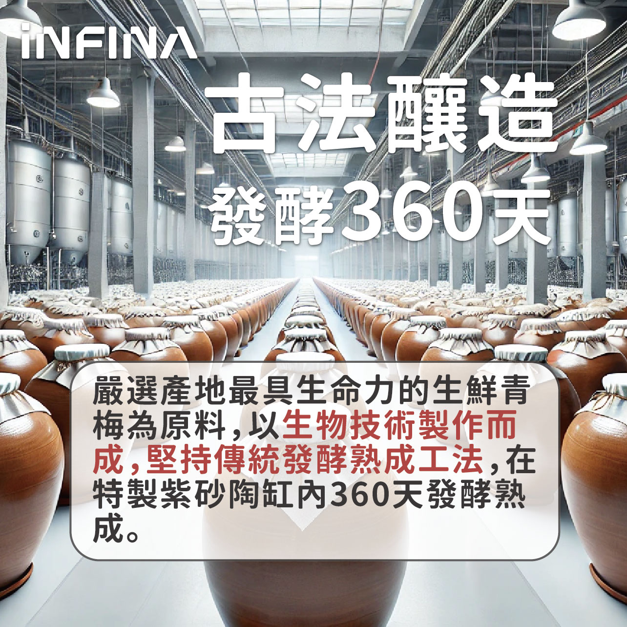 青梅發酵液 300ml/瓶