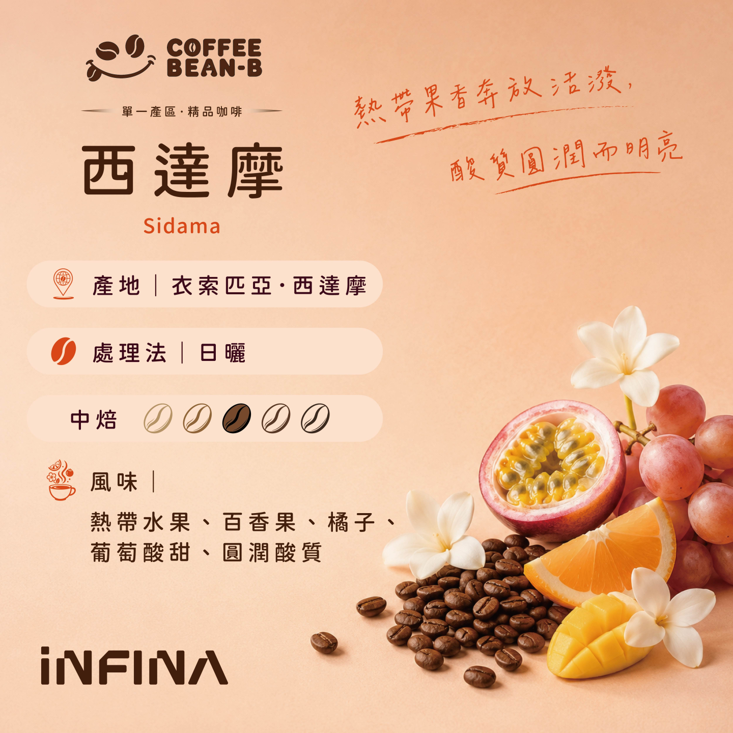 COFFEE BEAN-B 精品咖啡豆、濾掛(中焙)